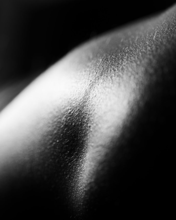 Skins – Detail 1