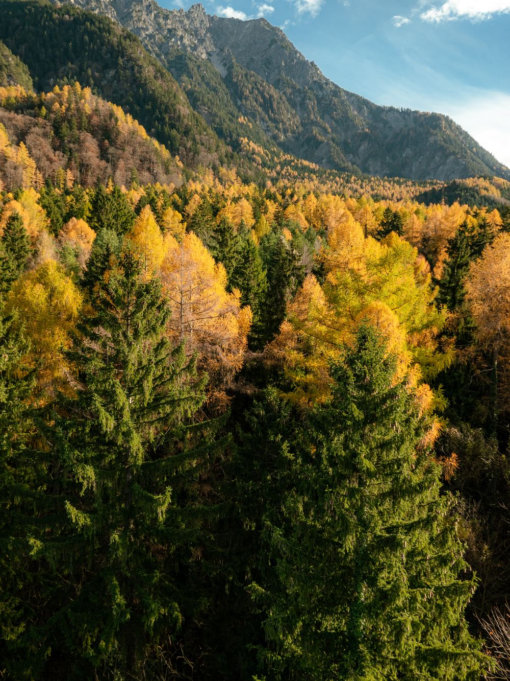 Tirolo Lightroom Preset – Nachher